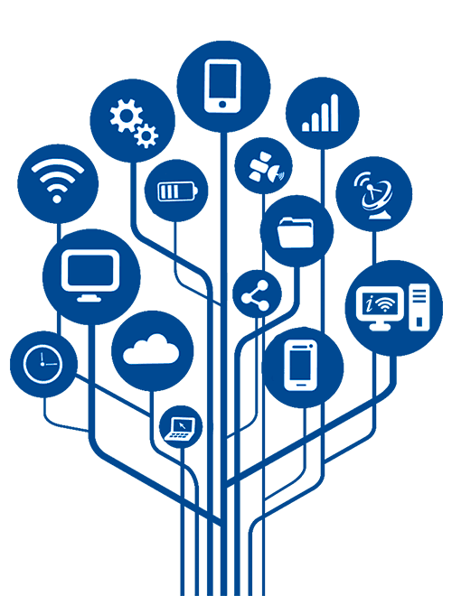 Razones para elegir Digy Networks